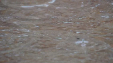 Footage Slow Motion: Drops of water fall into a lake Vídeo Stock 134994375