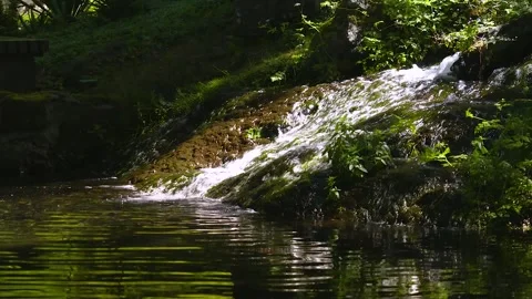 Footage of a small cascade flowing gently into a clear basin Stock Footage 317343314