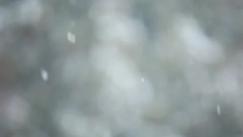 Footage of snow tree background Stock Footage 147532227