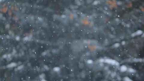 Footage of snow tree background Stock Footage 148375832