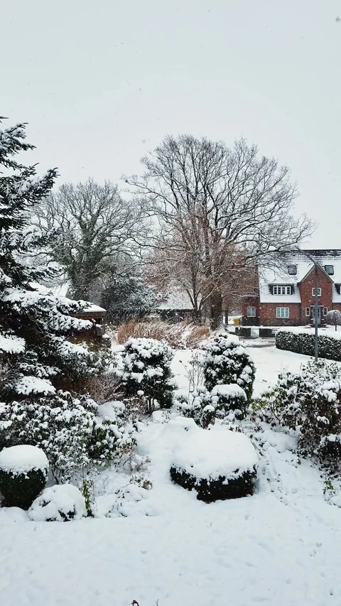 Footage of snowflakes gracefully fall. Stock Footage 257421646