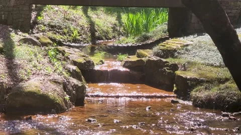 Footage of a stream flowing under a bridge with rocks with lush green plants Stock Footage 236796113