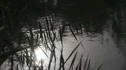 Footage of sun light reflection on the river waves Stock Footage 162764944
