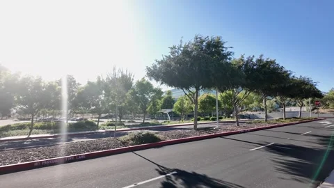 Footage of a sunlit, tree-lined road leading to East County Hall of Justice in 库存影片 339813053