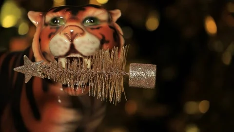Footage of tiger dark background Stock Footage 163440759