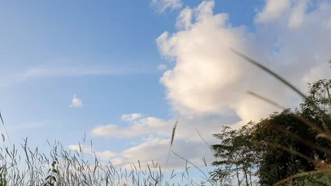 Footage of time lapse Beautiful clouds and sky Stock Footage 176455805