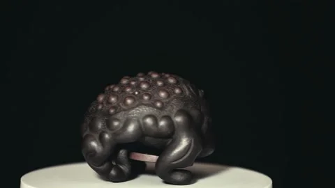 Footage of toad dark background Stock Footage 161173775