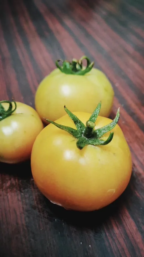 Footage of tomatoes Stock Footage 219941021