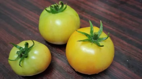 Footage of tomatoes Stock Footage 219941022