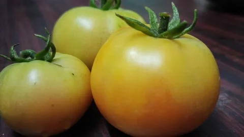 Footage of tomatoes Stock Footage 219941037
