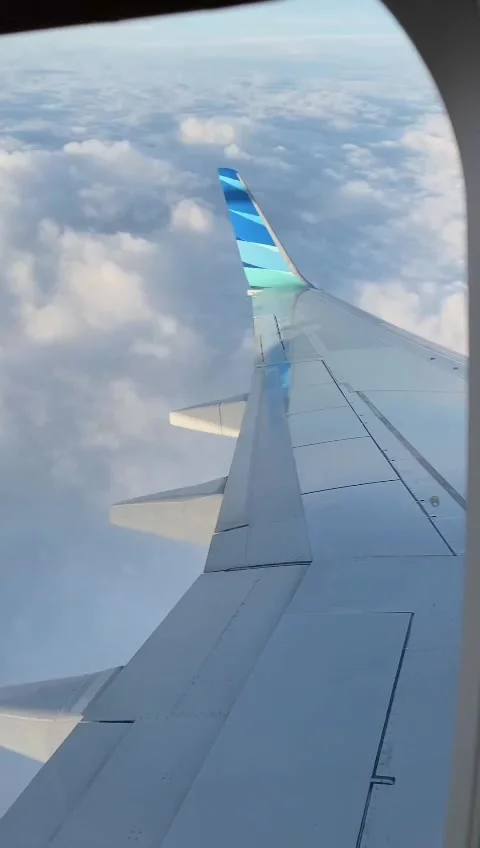 Footage  The Top View From The Flight Stock Footage 239612972