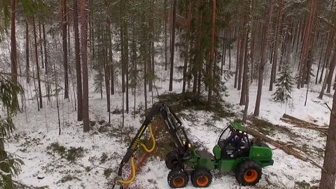 Footage of a tractor processing a tree in the forest in winter Stock Footage 69968573