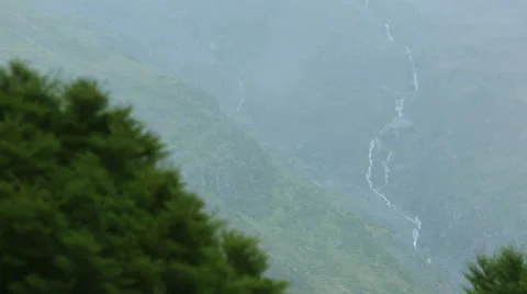 Footage of tree tops with mountain in background Video stock 55529938