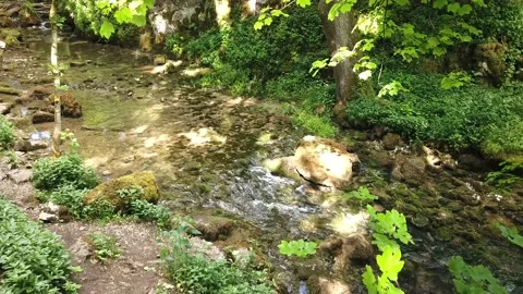A footage view of a small river Stock Footage 190080254