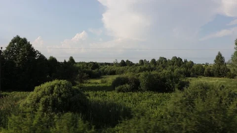 Footage of view through the window of moveing suburban train in summer Vidéo 118042616