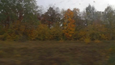 Footage of view through the window of moving suburban train in autumn Vidéo 118044885
