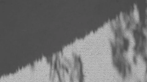 Footage of wall tree shadow Stock Footage 154401448