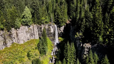 Footage of the Waterfall Among the Pine Forests 스톡 동영상 334792678