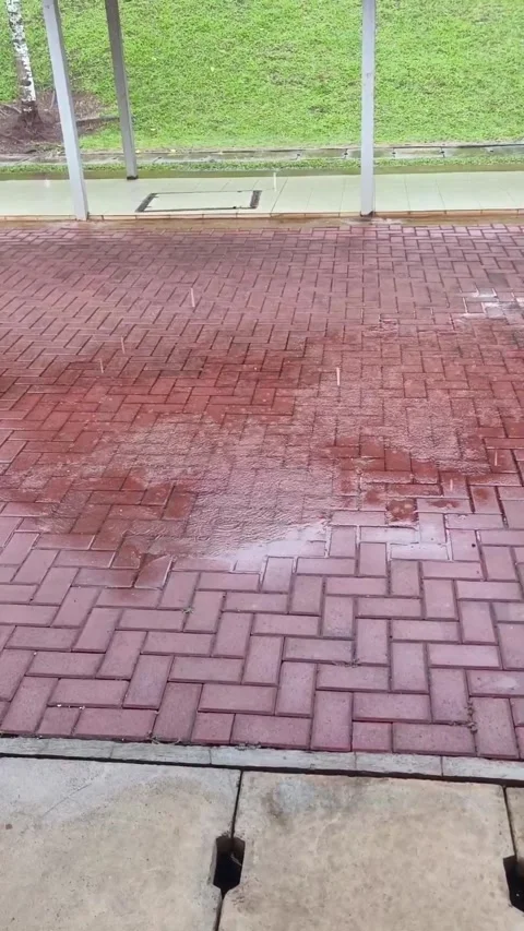 Footage wet brick pavement Stock Footage 325761998