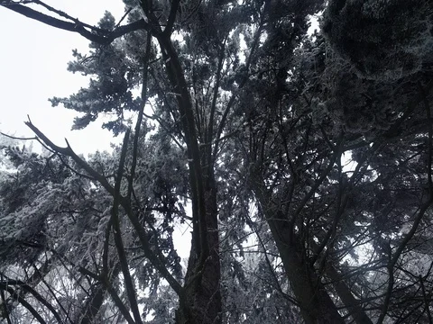 Footage of winter landscape. Vídeo Stock 71339106