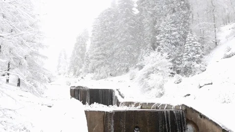Footage winter snowy forest Stock Footage 84308707