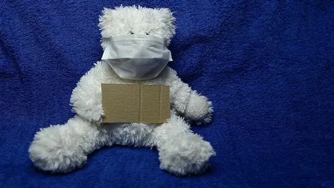 Footage of wool bear paper Vídeos de archivo 127593547