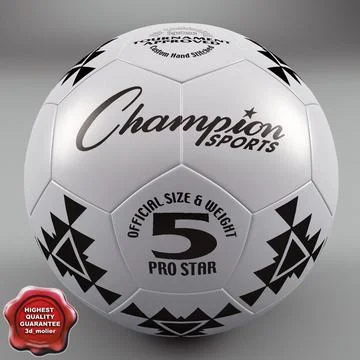 Football Ball PRO STAR 5 3D Model