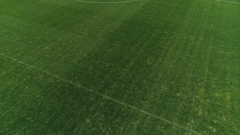 Football Field Stock Footage 104210010