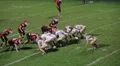 Football Quarterback Fumble HD Footage