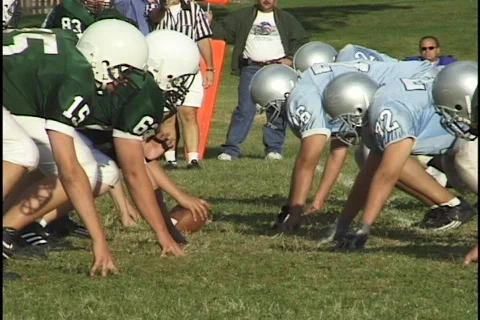 Football Throw with Referee Stock Footage 297565