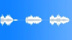 Football voice Sound Effect