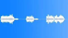 Football voiceSound Effect