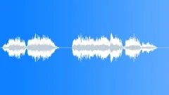 Football voice Sound Effect