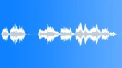 Football voice Sound Effect
