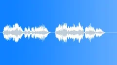 Football voice Sound Effect