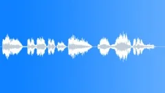 Football voice Sound Effect
