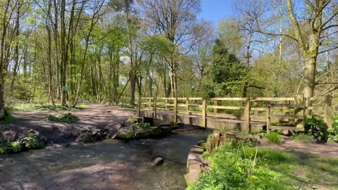 Footbridge country path flowing stream blue sky Stock Footage 244848956