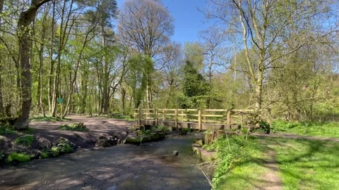 Footbridge country path stream blue sky Stock Footage 244930253