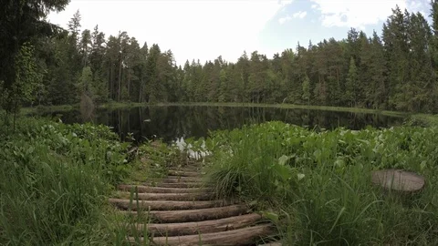  Footbridge Stock Footage 76783078
