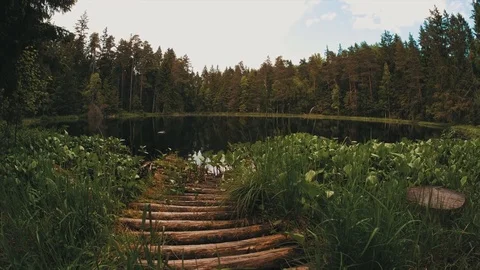  Footbridge Stock Footage 76783136