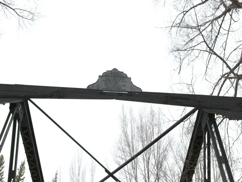 Footbridge in forest during winter Stock Footage 84503881