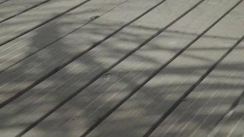 Footbridge with moving palm shadows Video stock 74696568