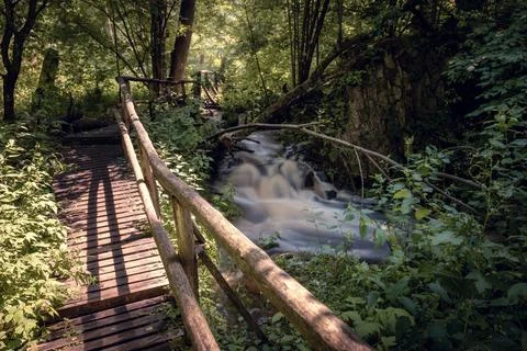 Footbridge over a brook in a dense forest. Natural water cascade. Stock Photos