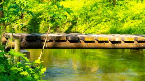 Footbridge over a stream in the forest Stock Photos