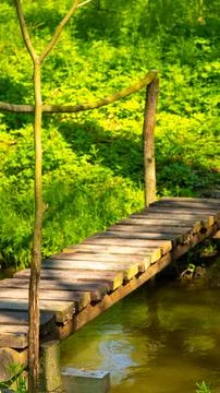Footbridge over a stream in the forest Stock Photos
