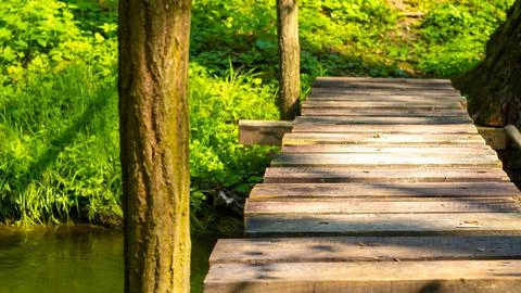 Footbridge over a stream in the forest Stock Photos