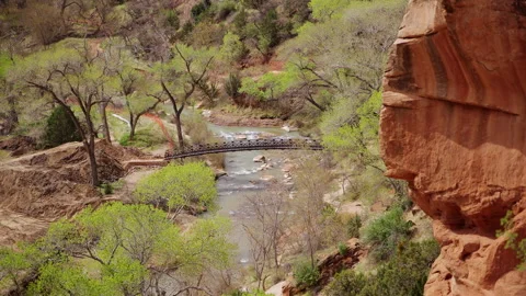 Footbridge over Virgin River with Spring Vegetation Zion National Park Utah Stock Footage 314684317