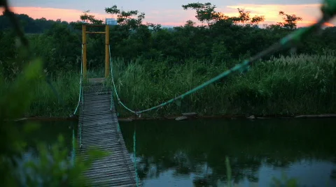 Footbridge in the Park Stock Footage 474931