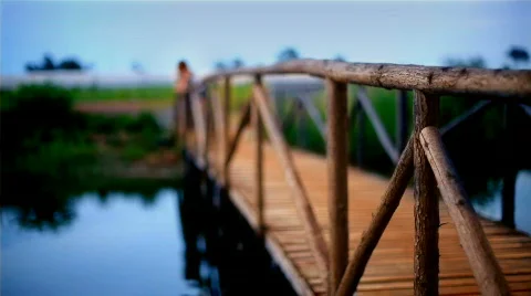 Footbridge in the Park Stock Footage 519130