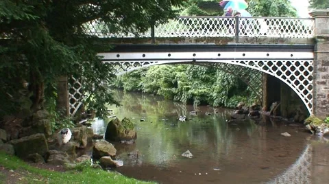Footbridge in Park Stock Footage 1062874